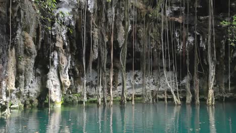 Cenote-04