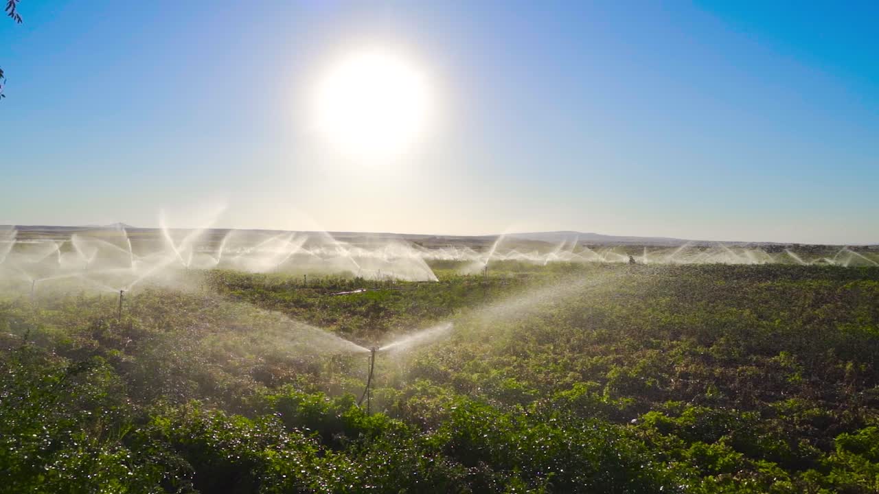 riego de campos agrícolas en cámara lenta.