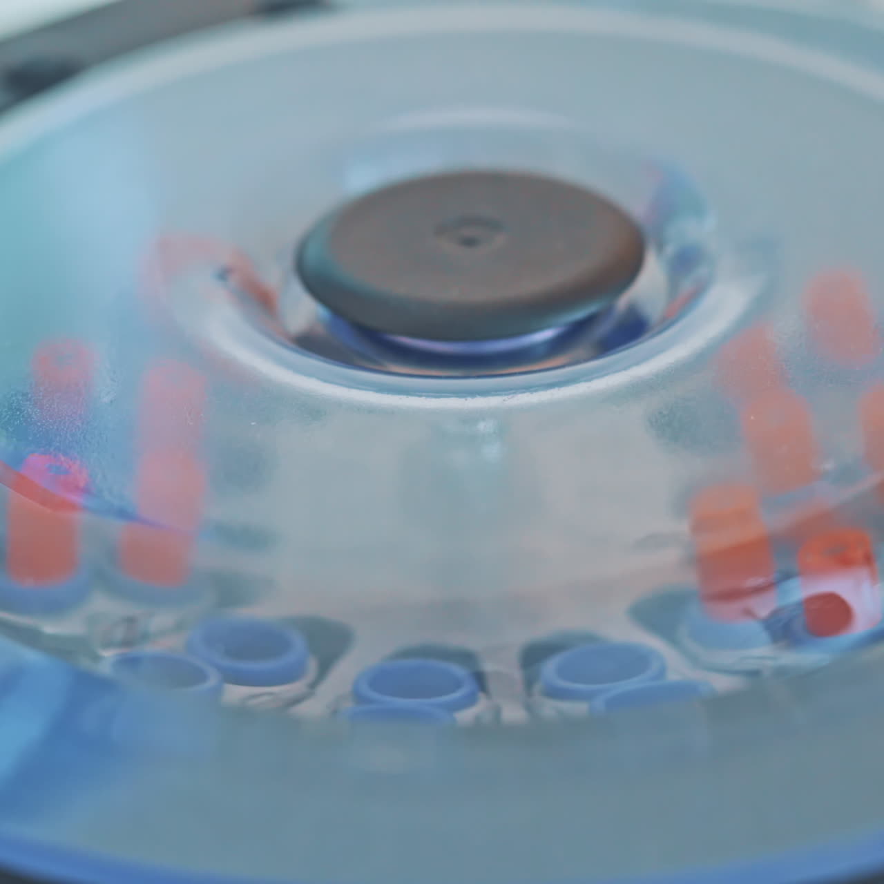 Modern centrifuge machine is working in the medical laboratory. Test tubes with blood inside the centrifuge. Close-up. Top view.