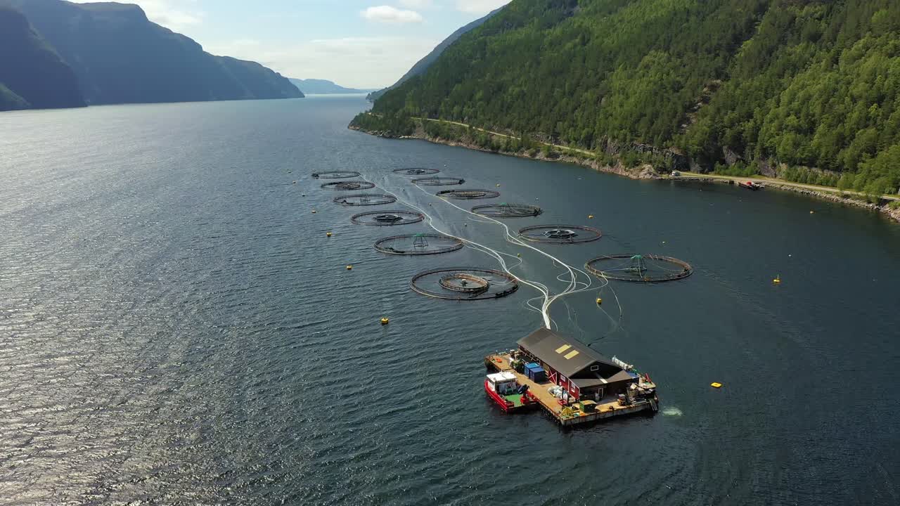 노르웨이에서 연어  ⁇ 시를 하는 공중 촬영