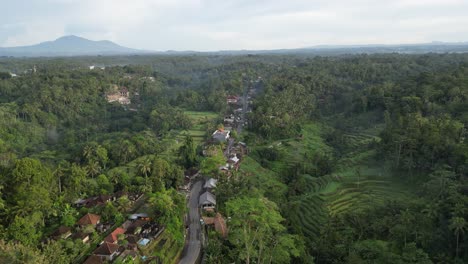 sunlight hitting the rice terraces near ubud in bali with mountains in the background, aerial