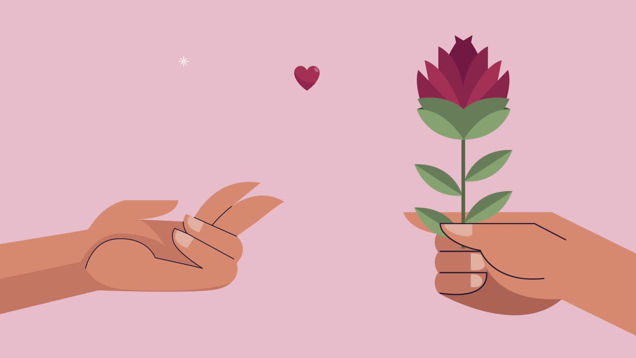 hands giving rose flower and heart