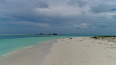 POV-Beobachten-Sie-Möwenvögel-Am-Uferstrand-Und-Fliegen-Sie-über-Das-Karibische-Meer,-Insel-Los-Roques