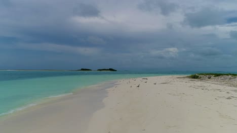 pov watch seagulls birds on shore beach and fly on caribbean sea, los roques island