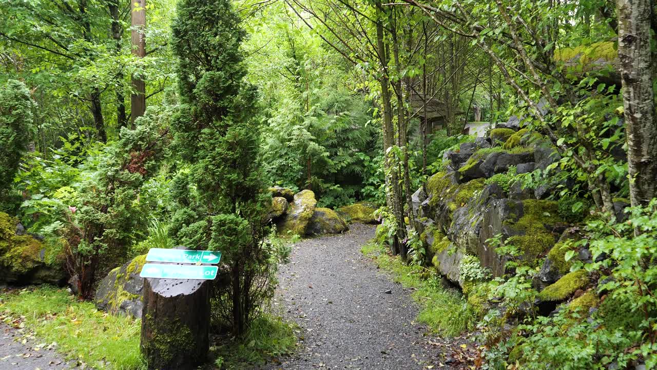 camino pacífico del bosque