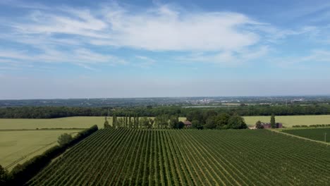 Imágenes-De-Gran-Angular-De-4k-De-Un-Dron-Que-Vuela-Sobre-Un-Huerto-De-Manzanas-En-Chartham,-Kent