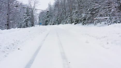 在雪暴风雨期间,在雪覆盖的森林道路上空低飞时向上倾斜