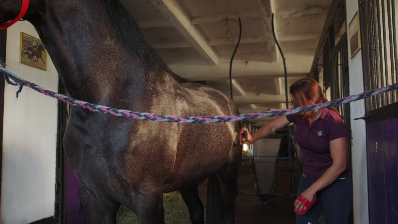 mujer arreglando un caballo en un establo