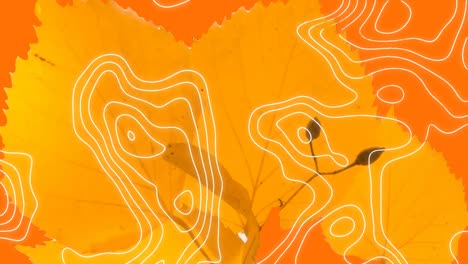 animation moving white lines over autumn leaves on orange background