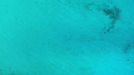 bird's eye view static shot of ocean ripples spreading light across clear sandy bottom water