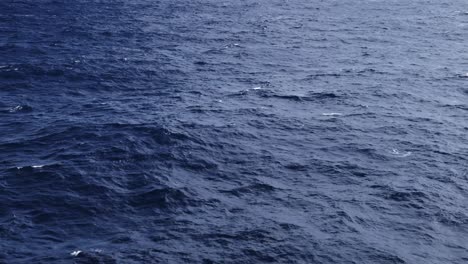gentle waves and ocean swell background, close up of blue sea water with copy space, view from ship or boat while sailing in calm waters in open water at sea