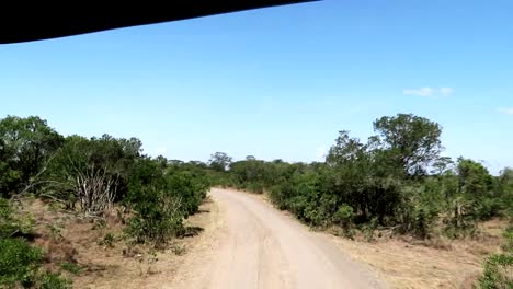 Expedición-De-Safari-Entra-En-El-Santuario-De-Chimpancés-De-Aguas-Dulces-En-Un-Camino-De-Tierra