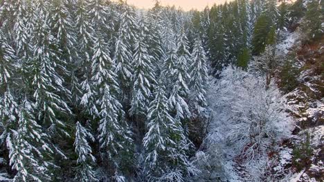 Tracking-drone-shot-through-snowy-white-winter-wonderland-in-Canada's-west-coast,-North-America