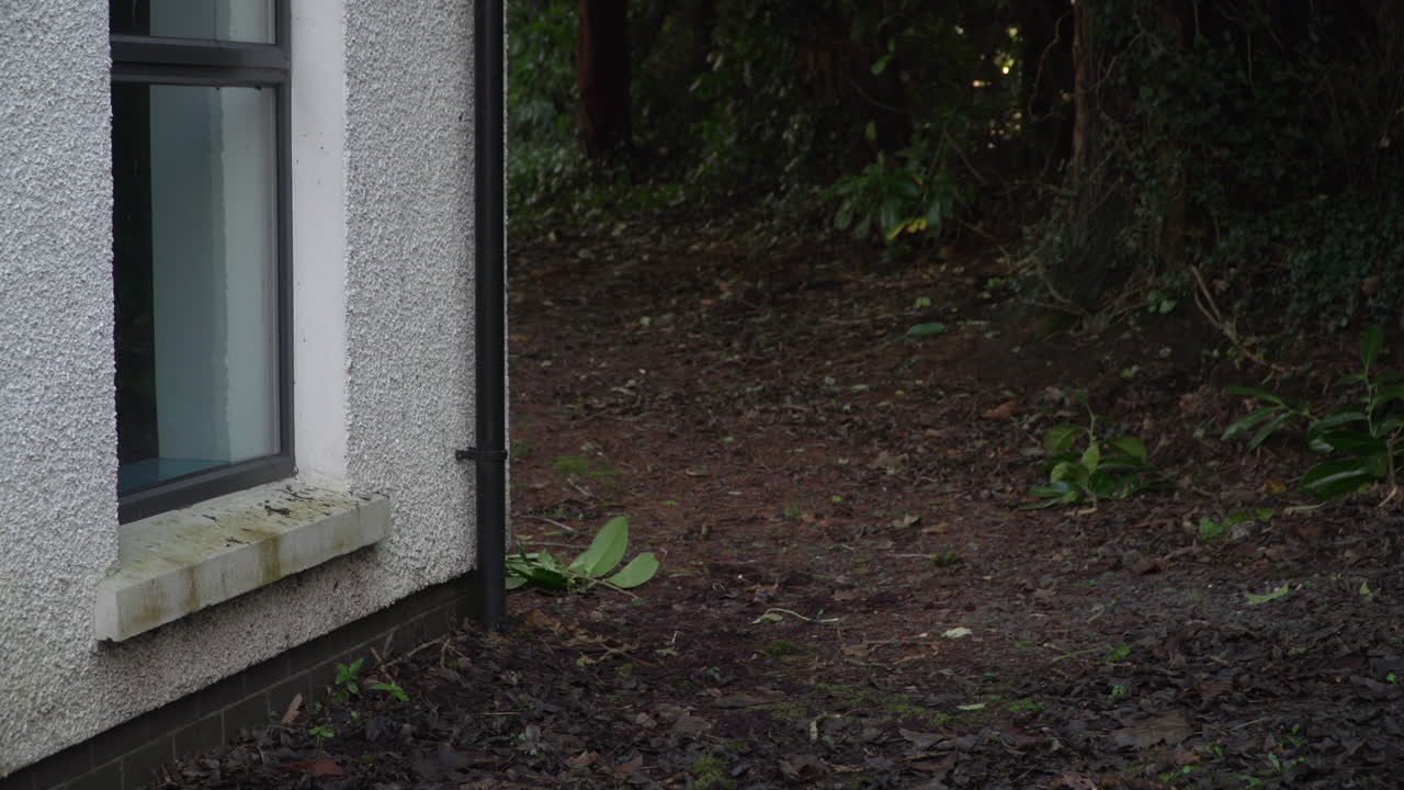 Empty Dorm Room Student, Hostel, Asylum seeker's Accommodation
