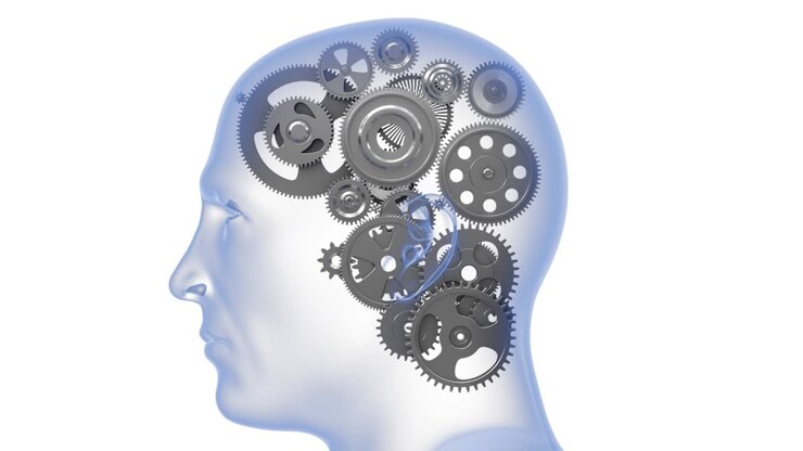 Human head with gears. Business technology concept. 3d animation
