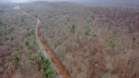 viajando sobre las copas de los árboles del bosque y la carretera en la vista aérea de la temporada de invierno