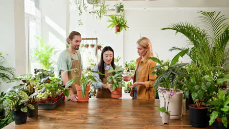 cliente discutiendo plantas en una tienda botánica