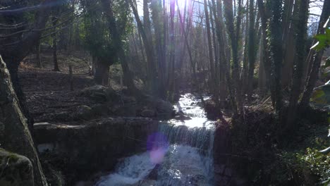 Wasser-Plätschert-Einen-Kleinen-Wasserfall-Im-Wald-Hinunter