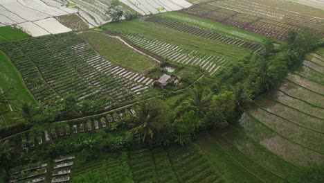 asian countryside