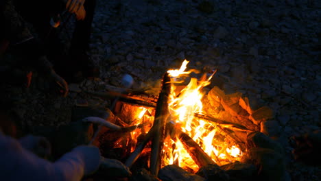 digital composite video of group of friends roasting marshmallows in bonfire during camping