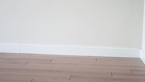 empty room corner with wood flooring and white baseboard