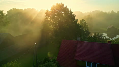 wonderful aerial shot of a sunrise in the middle of the forest with sun rays illuminating a cabin