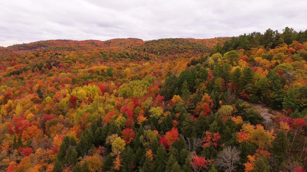 Vibrant autumn landscape with a vast expanse of colorful trees in hues of red, orange, yellow, and green. Rolling hills in the background. Cloudy sky enhances the seasonal atmosphere.