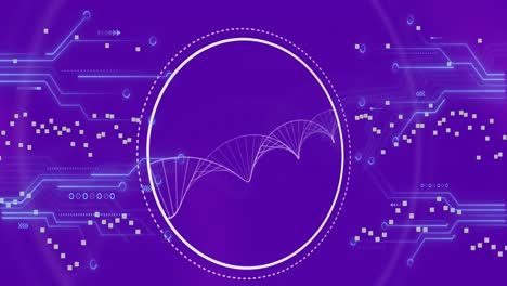 Animación-De-La-Estructura-Giratoria-Del-ADN-Y-Las-Conexiones-Del-Microprocesador-Contra-Un-Fondo-Degradado-Púrpura