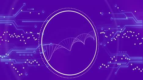 animación de la estructura del adn giratorio y las conexiones del microprocesador contra un fondo de gradiente púrpura