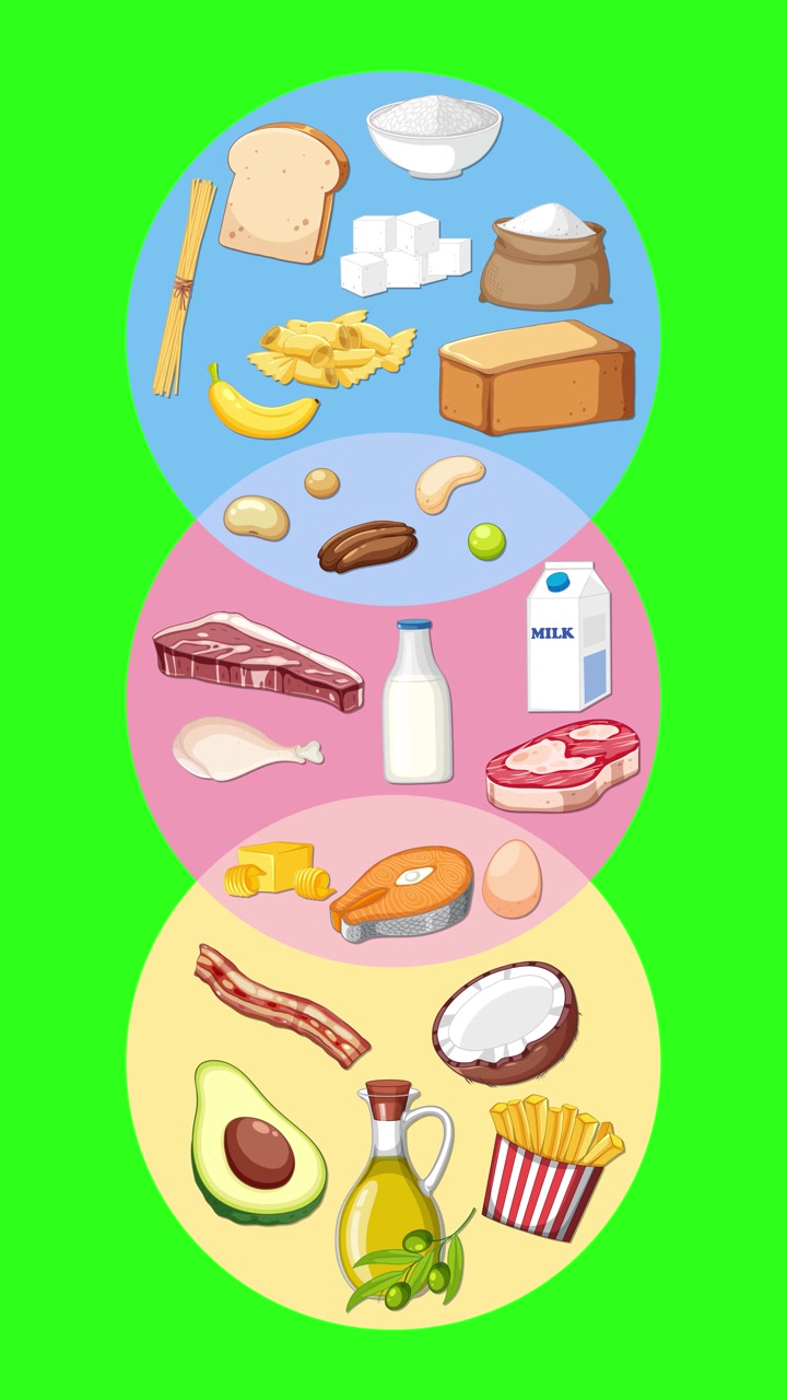 Infografica educativa che mostra i gruppi alimentari e le categorie nutrizionali