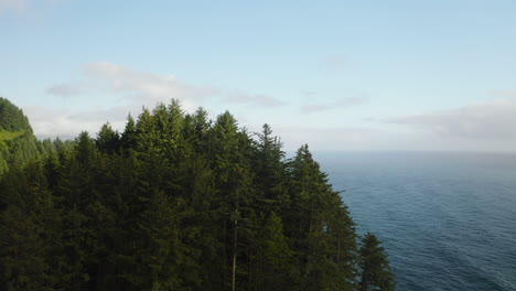 vuelo bajo sobre acantilado boscoso que se eleva sobre el océano pacífico nebuloso en la costa de oregon