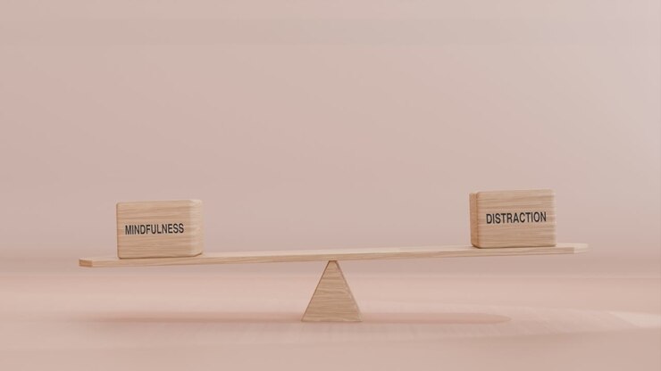 MINDFULNESS AND DISTRACTION BALANCING ON SEESAW