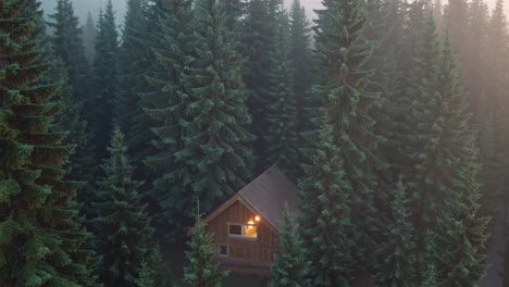 cozy cabin in a misty forest