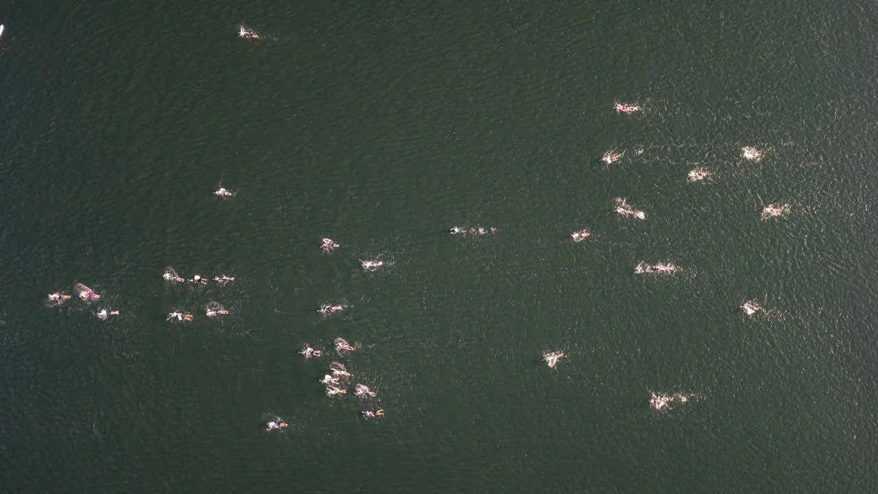 An overhead shot shows athletes spreading out mid-race, their splashes glistening under morning light on the calm Tennessee River