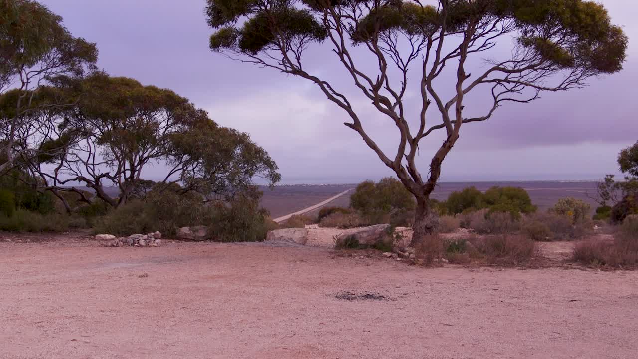 Rustig landschap met eucalyptusbomen die uitkijken op een verre weg in West-Australië