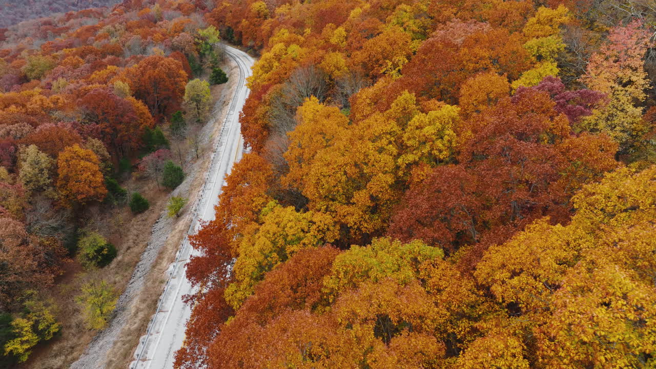 Autumn Forest And Mountain Road In Devil's Den State Park, Arkansas, USA - Aerial Shot
