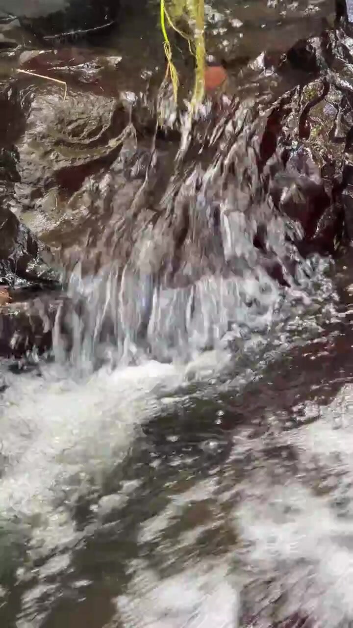 Piccola cascata che scorre su rocce scure e bagnate nella natura