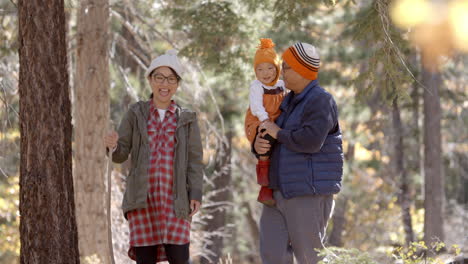 Schwangere-Frau,-Ehemann-Und-Kleine-Tochter-Wandern-In-Einem-Wald