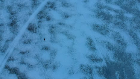 person walking on a frozen lake