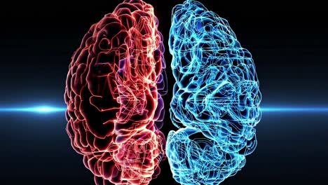 visualización de la anatomía del cerebro humano