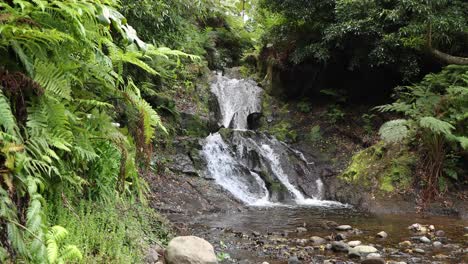 Pequeña-Cascada-En-El-Pintoresco-Bosque-En-El-Parque-Das-Frechas,-Parque-En-Portugal---Tiro-Ancho