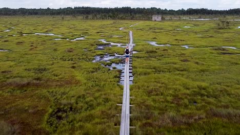 Antena-En-Movimiento-Hacia-Adelante-Siguiendo-A-Un-Hombre-Que-Camina-Por-Un-Camino-De-Madera-En-El-Pantano-De-Nigula-En-Estonia