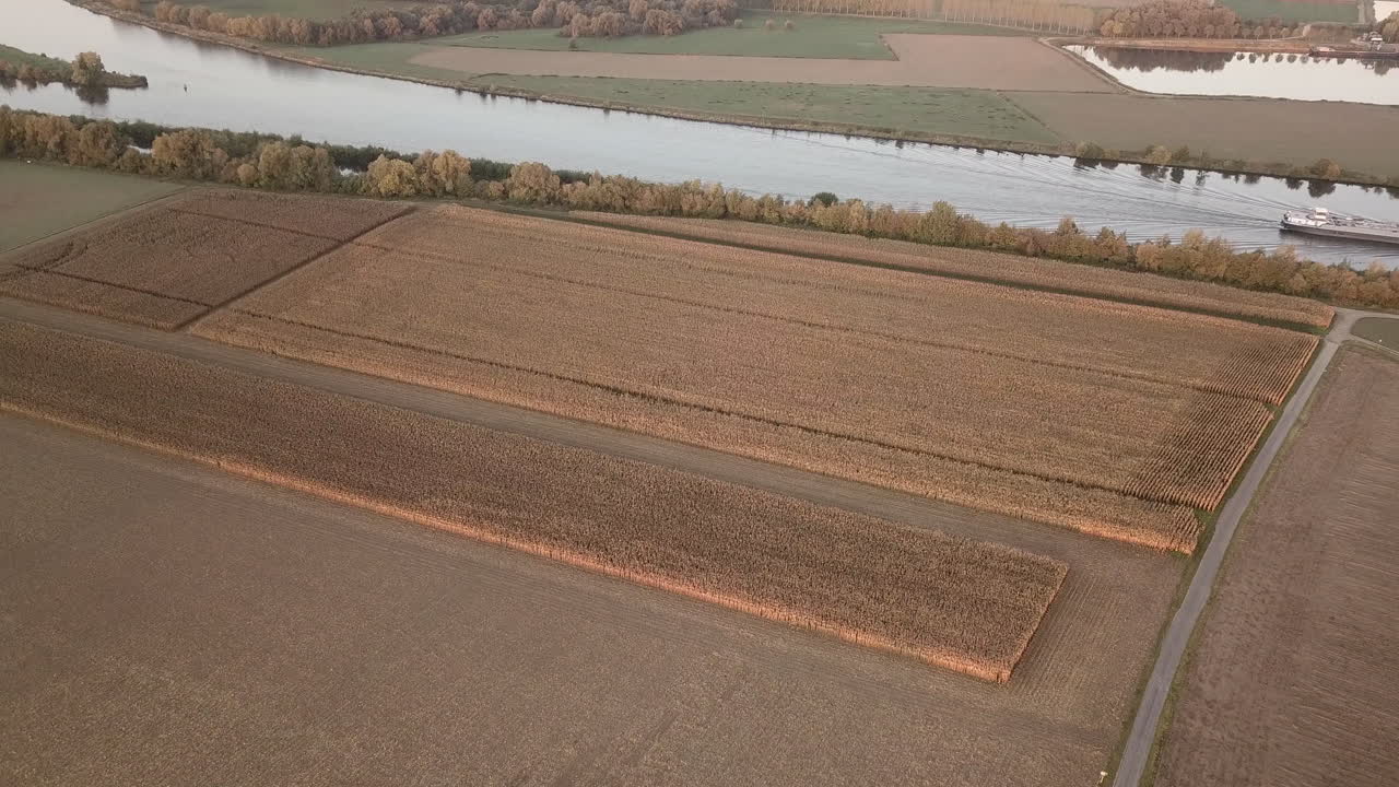 aerial of a beautiful cornfield next to a river