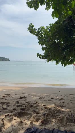escena de playa tropical
