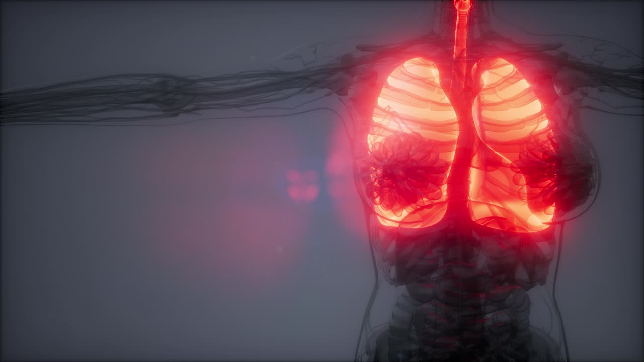 examen radiológico de los pulmones humanos