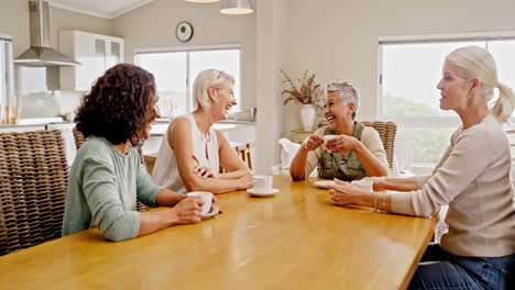 Freunde,-Gespräche-Und-Besuch-Mit-Einer-älteren-Frau