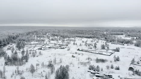 Draufsicht-Auf-Den-Winterwald.-Luftaufnahme.