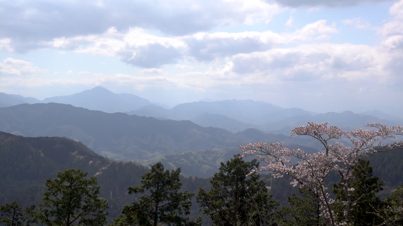 사쿠라 나무와 부분적으로 흐린 날에 아름다운 능선 산의 경치