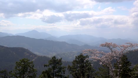 beautiful ridge line mountain scenery on partially cloudy day with sakura tree