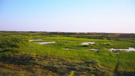 Vista-A-Través-De-Humedales-Cubiertos-De-Hierba-En-Texel.-Pan-A-La-Derecha